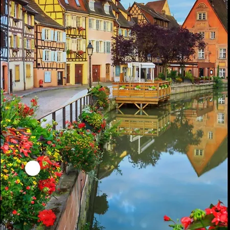 Apartment Du Logelbach Wintzenheim