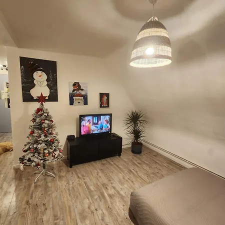 Du Logelbach Apartment Wintzenheim