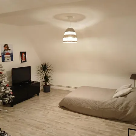 Apartment Du Logelbach *