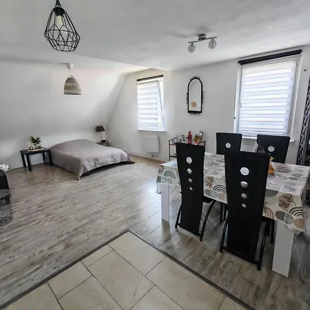 Du Logelbach Appartement *