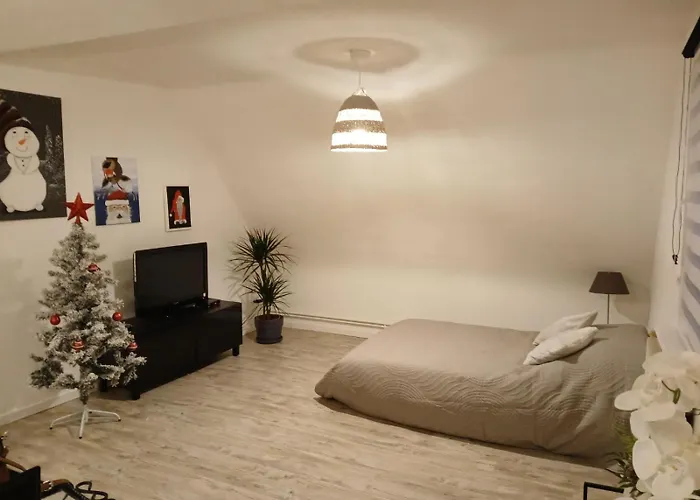 Apartment Du Logelbach *