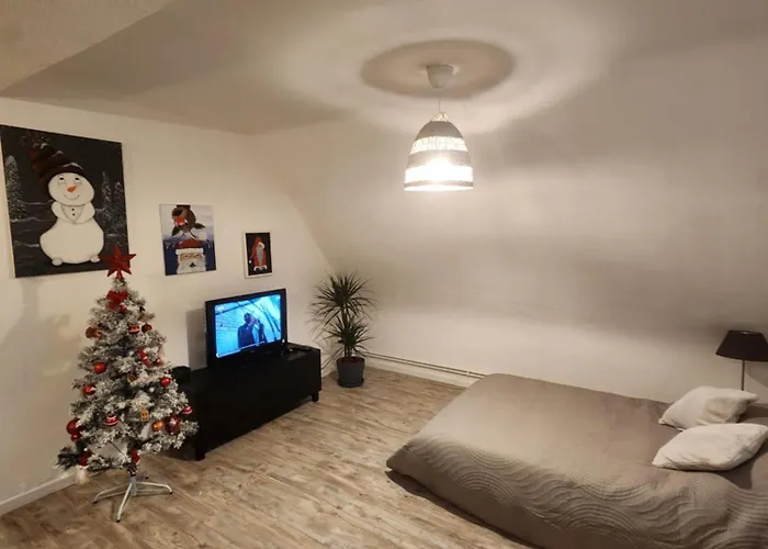 Du Logelbach Apartment